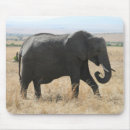 Suche nach südafrika mousepads Elefant