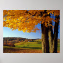 Recherche de wood posters Pays