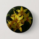 Suche nach orchidee buttons Fotografie