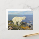Suche nach eider poster Natur