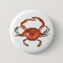 Recherche de crabe badges Coquillages