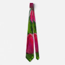 Recherche de tulipes roses cravates Blanc