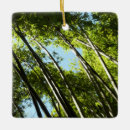 Suche nach bambus ornamente Bamboo