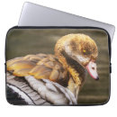 Suche nach vogelliebhaber laptop schutzhüllen Tierfotografie