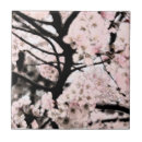 Suche nach japanische kirschblüten fliesen Baum
