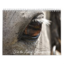 Suche nach fohlen kalender Stute