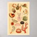 Suche nach sammlung kunst Druck