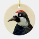 Suche nach eichel ornamente Vögel