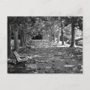 Suche nach bank unter baum postkarten Natur