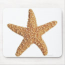 Recherche de animal marin tapis souris Vie marine