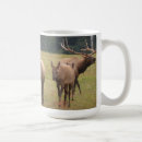 Recherche de élans tasses Nature