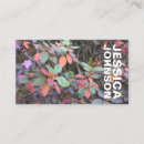 Suche nach buntes blatt visitenkarten Natur