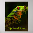 Recherche de grenouille colorée posters Nature
