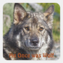 Suche nach herdenhund aufkleber Tierfreunde