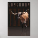 Suche nach longhorn poster Stiere