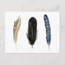 Recherche de plume cartes postales Aquarelle
