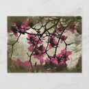 Recherche de texture florale cartes postales Nature