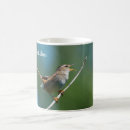 Suche nach wren tassen Vogelvogel