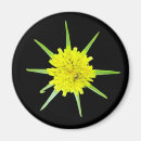 Suche nach flower magnete Gelb