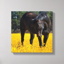 Recherche de équin impressions sur toile Cheval