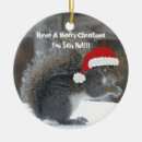 Suche nach weihnachtseichhörnchen ornamente Feiertagsverzierung