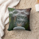 Recherche de pissenlit coussins Graines de pissenlit