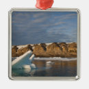 Suche nach tageslicht ornamente Landschaft