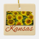Recherche de kansas ornements Kansan