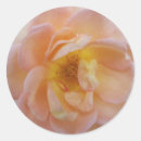 Recherche de couleur pêche autocollants Rose