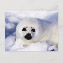 Recherche de laurent cartes postales Québec