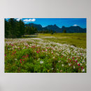 Suche nach bereich kunst Blüten
