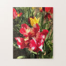 Recherche de de perroquet puzzles Tulipe