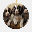 Suche nach englischer springer spaniel ornamente Leber