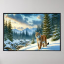 Suche nach lynx poster Wildnis