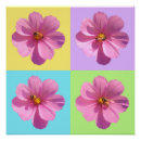 Recherche de fleur de cosmos posters Floral