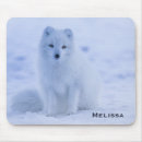 Recherche de arctique électronique Animal mignon