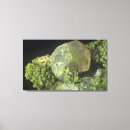 Suche nach namibia leinwandbilder Naturwissenschaften