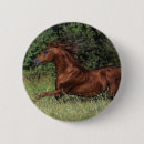 Suche nach stallion buttons Bob langrish