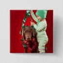 Suche nach schokoladen labrador buttons Weihnachten