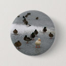 Recherche de étang de canard accessoires Lac
