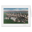 Recherche de gillette cartes postales Lanterne