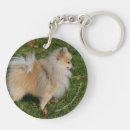 Recherche de spitz porteclés Chien
