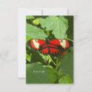 Recherche de de papillon verticales correspondances cartes Toute personne