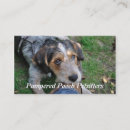 Recherche de petsitter cartes visite Pour tous
