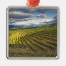 Suche nach weinbau ornamente Landwirtschaft