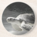 Recherche de tortue dessous de verres Océan