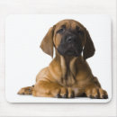 Suche nach hündchen mousepads Natur