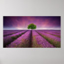 Suche nach lavender fields poster Bunt