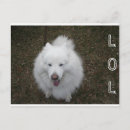 Suche nach lol postkarten Hund