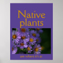 Suche nach einheimisch poster Natur